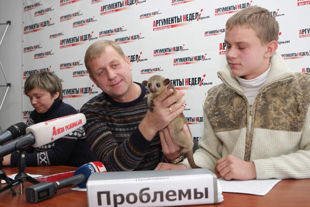 Собираться на войну можно не только с боевыми львами, но и с цветочным медведем кинкажу.